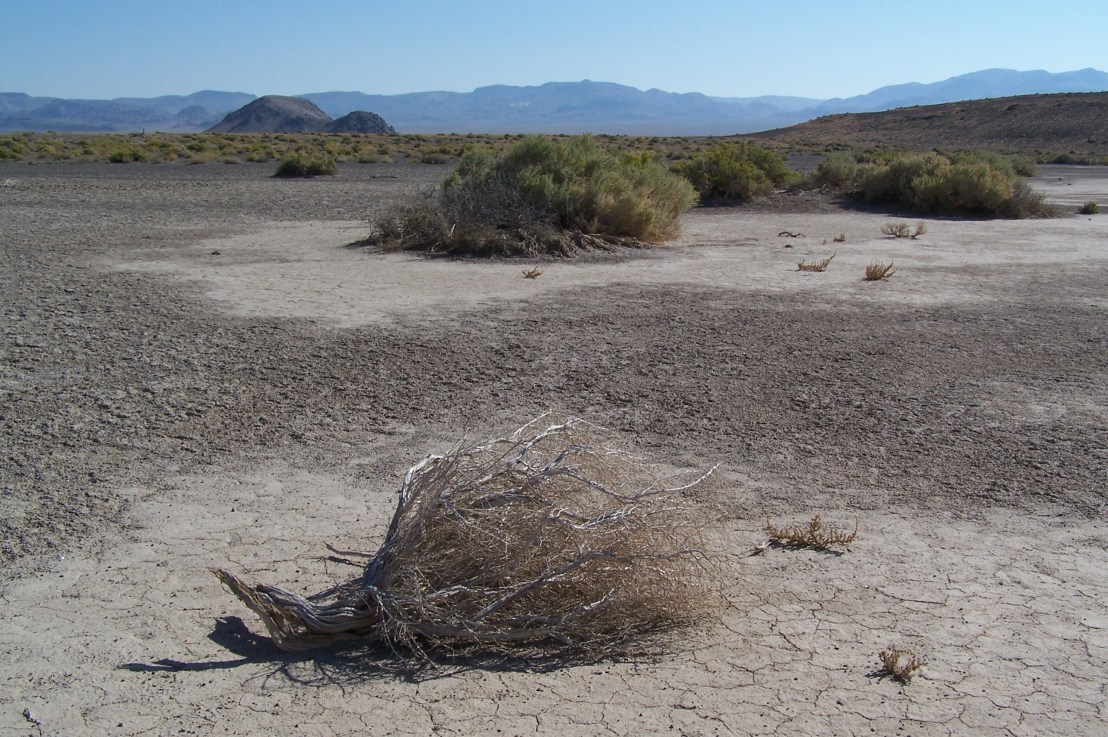 Old Mines and Ghost Towns – Part 8 – Mina and vicinity