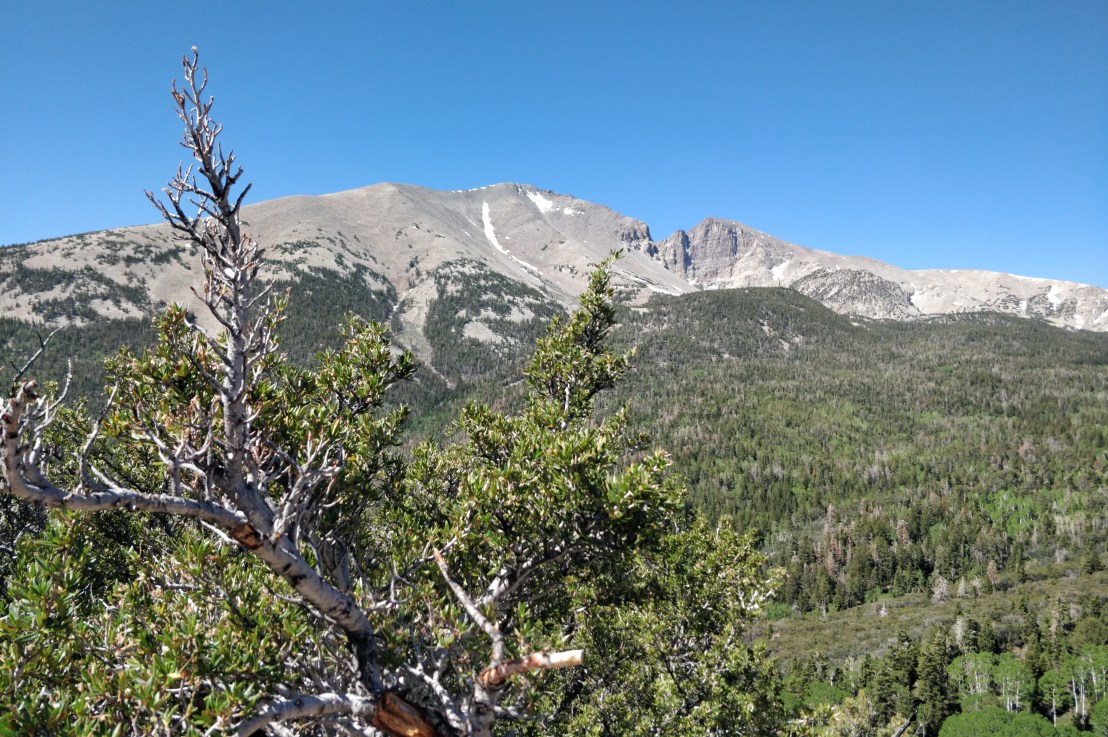 Great Basin National&nbsp;Park