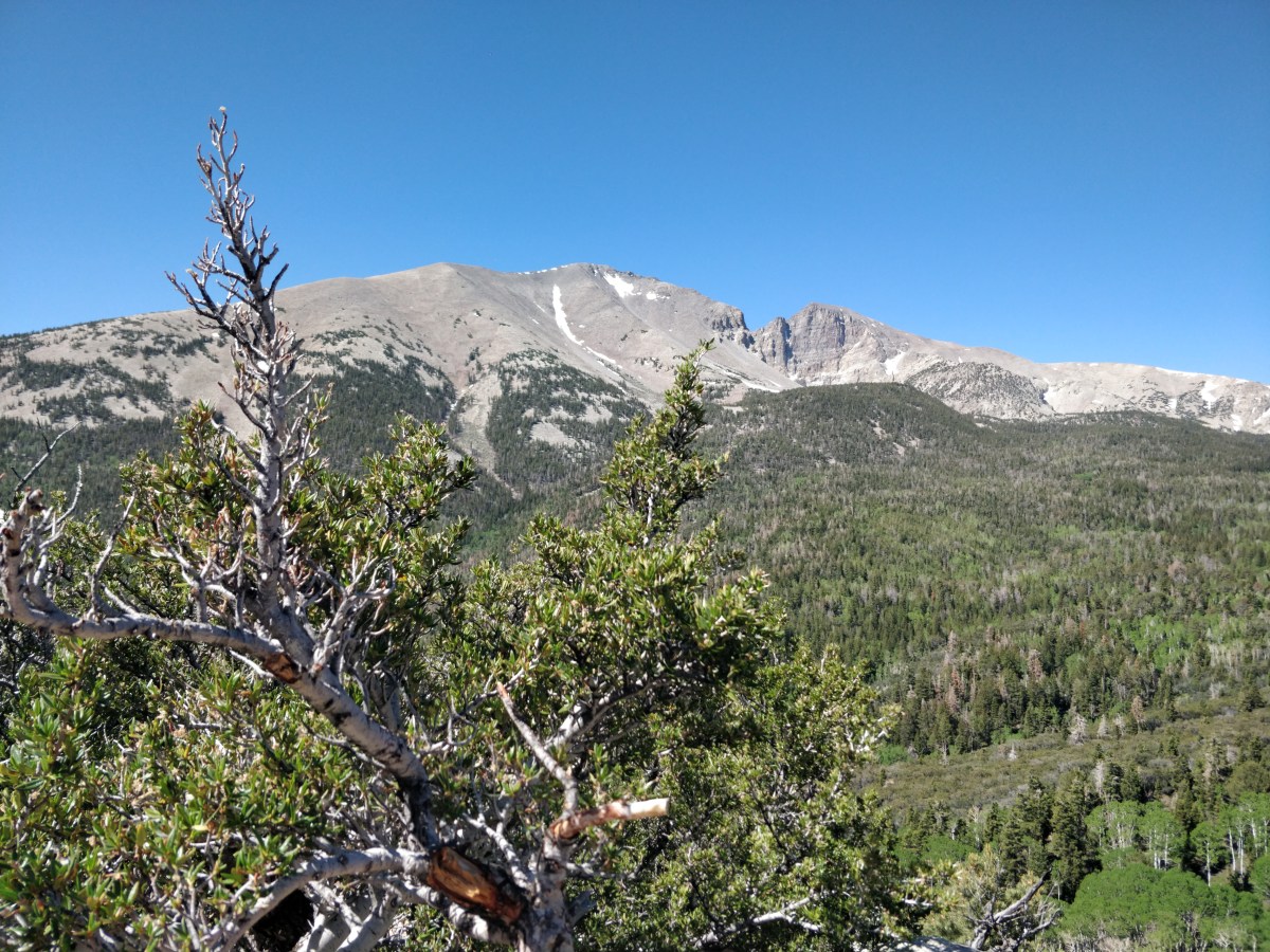 Great Basin National&nbsp;Park